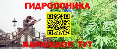 меф Краснознаменск