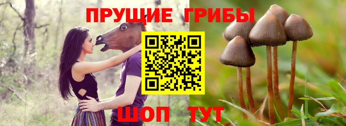 Соликамск  Псилоцибиновые грибы ЛСД  Псилоцибиновые грибы Psilocybine cubensis  Вход с VPN 